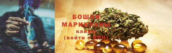 гидра Каменск-Шахтинский