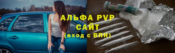 хмурый Инта