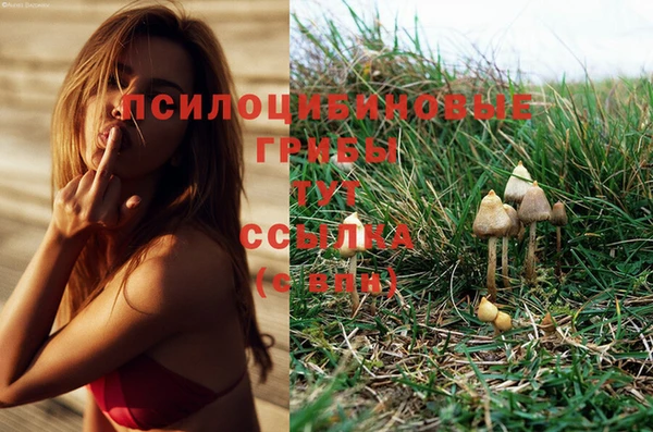 марихуана Карпинск