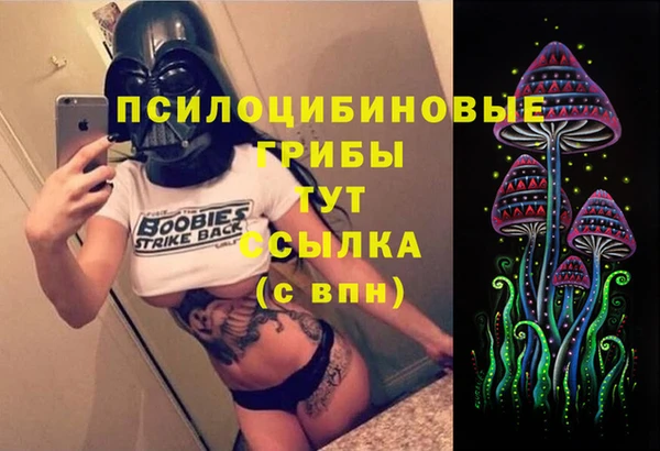 дурь Карталы