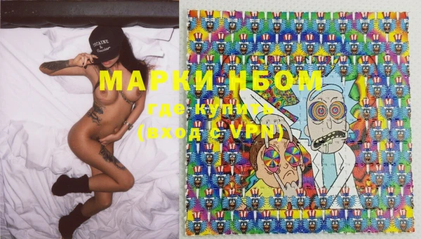 шишки Касимов